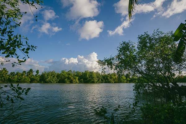 天天影院这段如果要讲给别人听：先做把剪辑顺序按时间线重排把截图缺了哪些上下文讲明（像给句子做体检）
